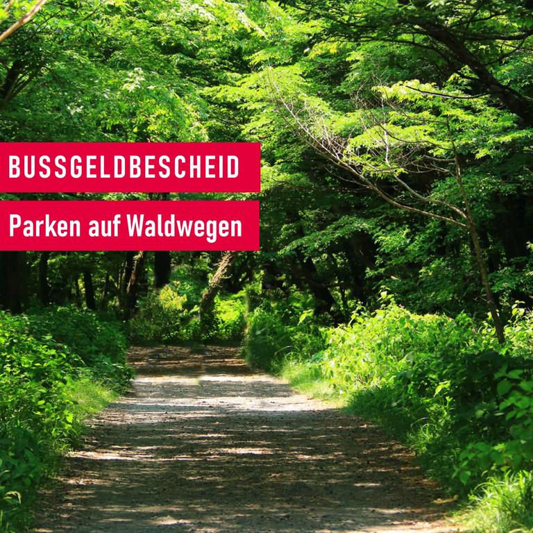 Parken im Wald