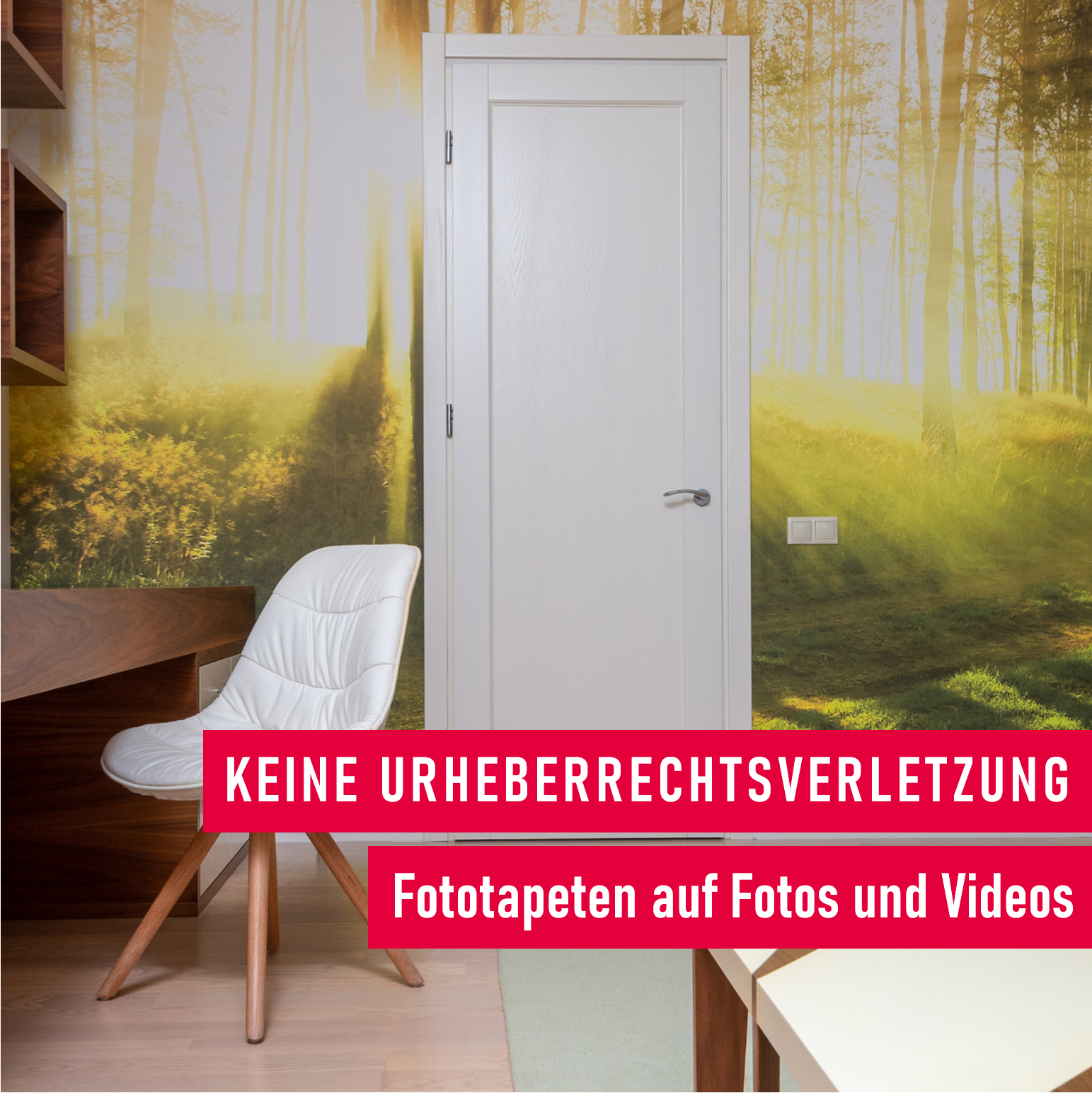 Keine Haftung_Fototapeten auf Fotos und Videos