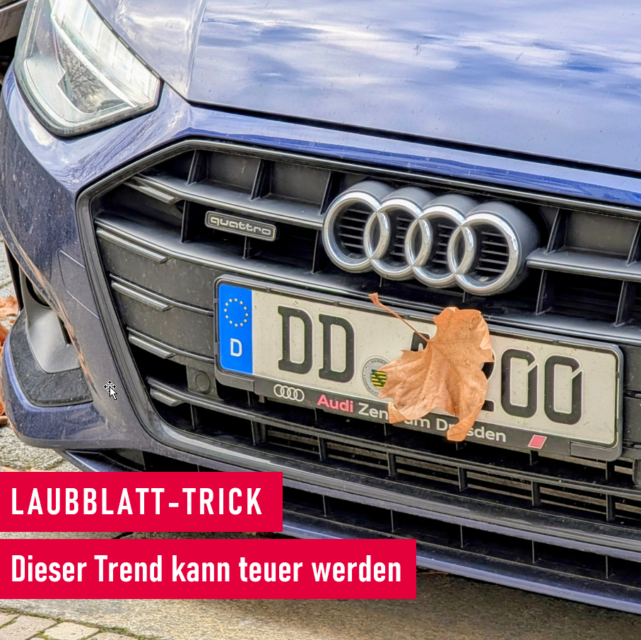 TikTok-Trend: Laubblatt auf Kennzeichen
